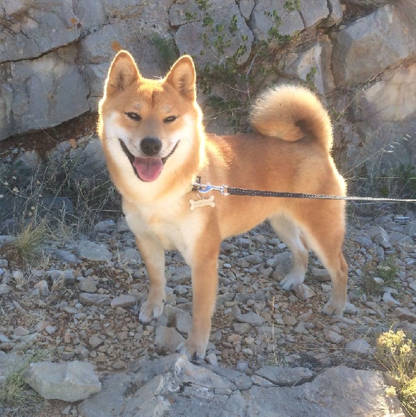 Jin des portes de la moria