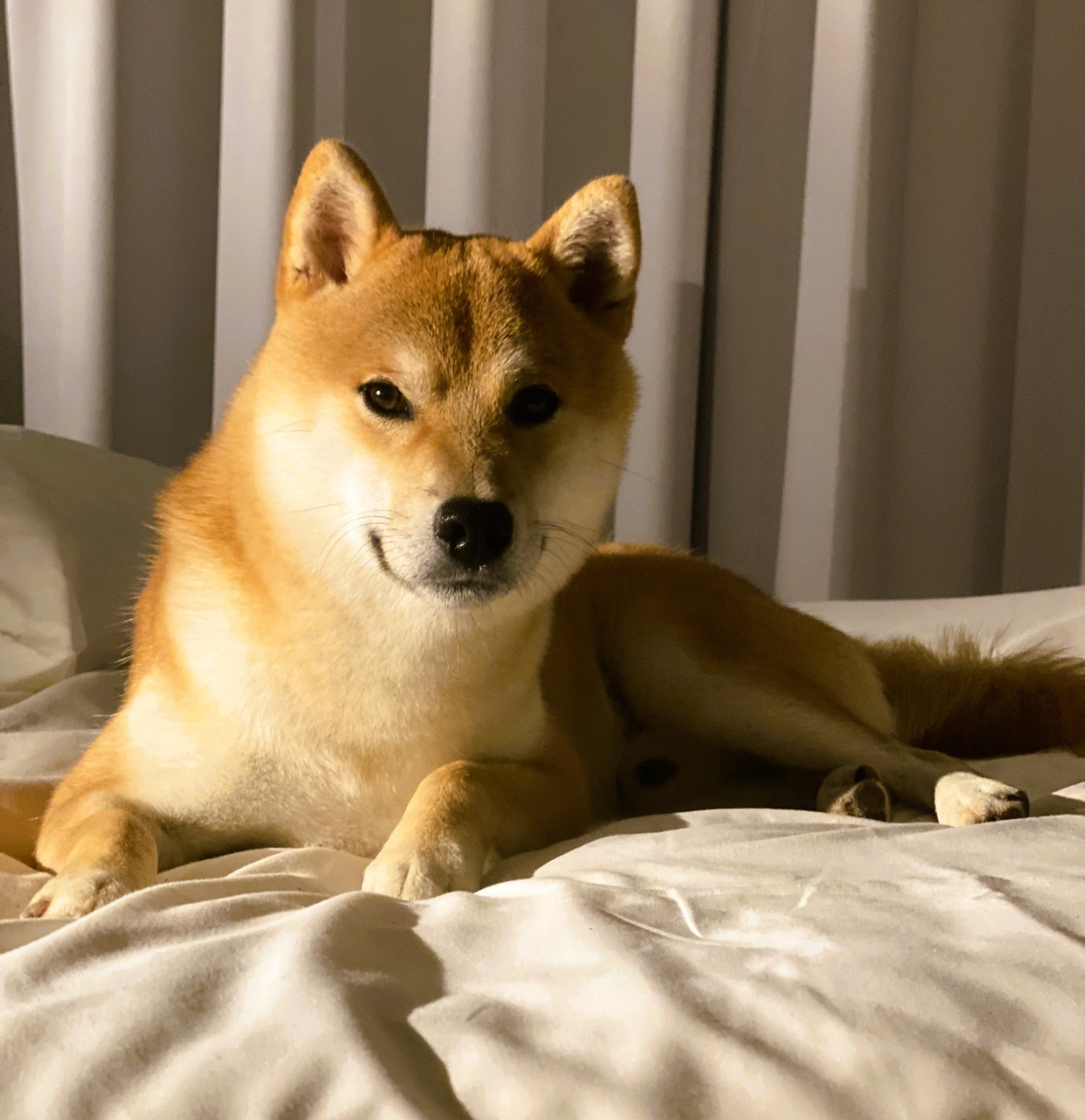 Vakashi Kyoto de la Vallée des Loges De La Vallée Des Loges